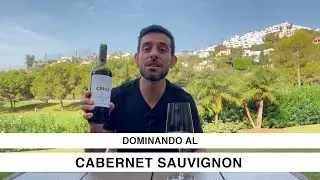 Dominando al CABERNET SAUVIGNON (el video definitivo para entender al vino rey)