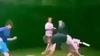 Минус яйца