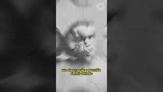 O HOMEM ELEFANTE | Joseph Merrick