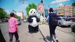 PRANK BEAR in UB CITY