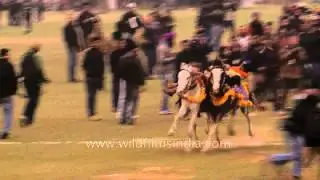 Thrilling stunt : Nihang Sikh warriors performing at Kila Raipur Sports Fest