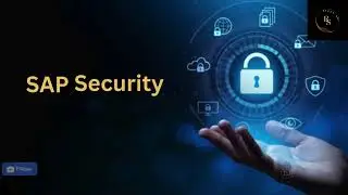 SAP Application Security || S4 | ECC || BW/BI || HR || CRM || EP || Role-Redesign || SOD-Role Matrix