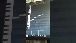Use this Scale for Arabic Beats 👳