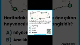 KPSS 2024 HAZIRLIK SORULARI  