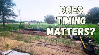 Is It Too Late To Grow These?