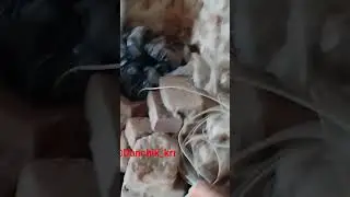 гуляем по заброшенной тюрме #хочуврек #хочувреки