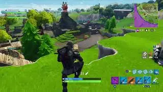 Fortnite Duo Win