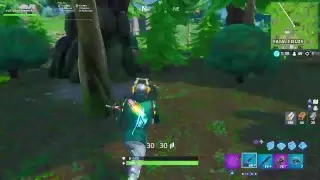 Fortnite duos trying to give silly a good name