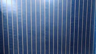 Palm Weave Design Full Wall | Asianpaint Royale Play