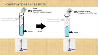 Exp 47 (Shriner Book): Sodium Hydroxide Fusion of Sulfonamides