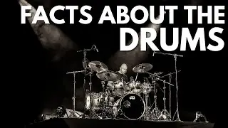 Fun Facts About Drums For Beginners