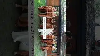 How Brides Maids Walk Vs… #weddingvideo #bridalparty #groomsmenoutfits #bridalwear #weddingvideo