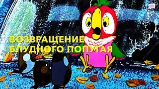 Возвращение блудного попугая  1984  1 выпуск  Союзмультфильм