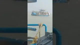 Huge Birds 🐦 in Gangasagar