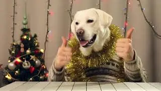 Собака поздравляка. C 2018!