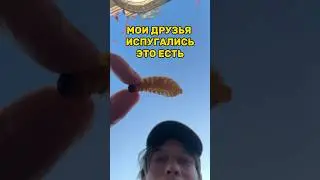 Обожаю этот город за его вкусы, но точно не за этот бокс 😂 
