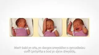 21 Ciwiau ar Gyfer Bwydo