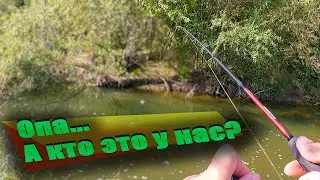 Рыбалка Кубань Адыгея Карачаево-Черкессия река Ходзь река Лаба / Ловля Голавля
