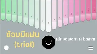 ซ้อมมีแฟน (trial) - Kinkaworn x bamm kalimba cover
