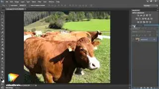 Photoshop CS6 Image Optimization Workshop Trailer