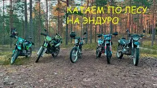 Kayo T2 enduro. Покатуха по лесу под музыку