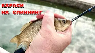 Весенние караси на спиннинг