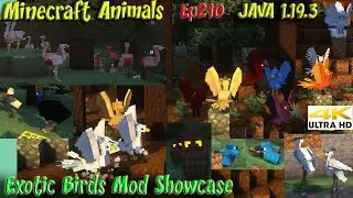 Exotic Birds Mod Showcase Birds and Phoenix JAVA 1.19.3 1.18 1.16 1.12 Minecraft Animals Ep210