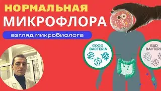 Нормальная микрофлора кишечника- бифидобактерии, лактобактерии. Посев на микрофлору (