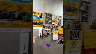 Кто потерял шапку? Смотреть до конца😂 