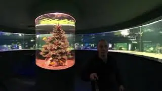 Виртуальный тур по Москвариум, видео в 360