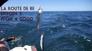 La Route de Ré - Episode 3 - Pêche à Gogo
