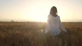 Alone girl in field and sunset - Copyright Free Video