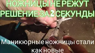 КАК ЗАТОЧИТЬ НОЖНИЦЫ ЗА 2 сек⏰. Плохо режут маникюрные ножницы что делать если заточка не помогает