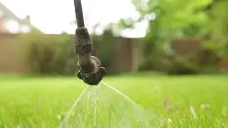 Lawn Master - Feed & Weed with Colin Parish