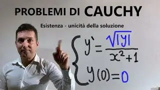 Cauchy Problems. Existence and Uniqueness in Small Forms. Exercises