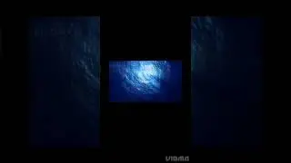 bluehole underwater#short#viral #facts