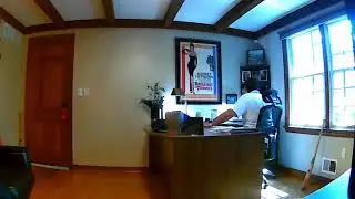 Crazy Moments: Squirrel interrupts a conference call. Funny Zoom meeting.