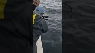 Tiny Man VS Giant Bluefin oliver@bigbassdreams.com to Book
