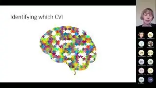 The Impact of Cerebral Visual Impairment on the Communication Needs of Children with Complex ASN