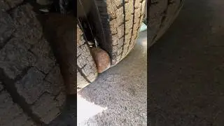 Поймал фигу😁 