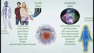 Fysieke blauwdruk en Goddelijke Blauwdruk uitleg