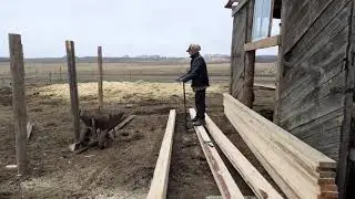 Накрыли крышу. Готовим навес.