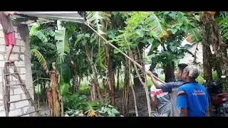 RUMAH BANTUAN TERDAMPAK BADAI SICLONE SEROJA APRIL 2021