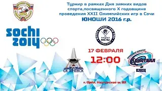 3.  СК БРЯНСК-16 (Брянск) – ХК КРИСТАЛЛ-16 (Елец)