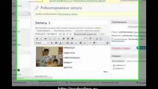 Создаем рубрики WordPress