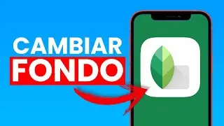 Cómo Cambiar el Fondo de una Foto en Snapseed ✅ 2023