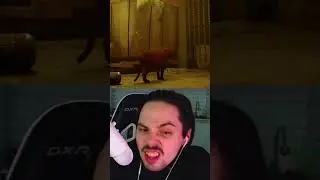 Как выглядят самые крутые шторы в мире