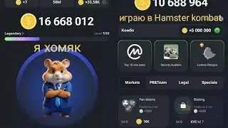Хамстер комбет