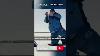 12 вопросов к владельцу траковой компании