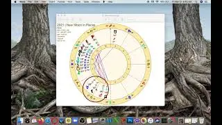 New Moon in Pisces 2021 | Deep Potential for Actualization in Month Ahead